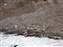 base camp from low on the Icefall